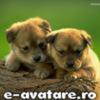avatare_gratuite_23847022946ab05a5965d05_84601883
