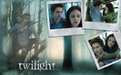 Twilight-Wallpapers-twilight-series