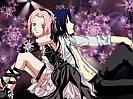 sasusaku