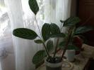 CIMG0057