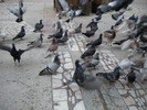 DSCN0145