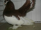 SANY0130