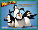Madagascar-005[1]