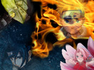 naruto-elements-small