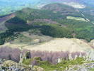 DSCF0281