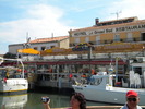 DSCN1236