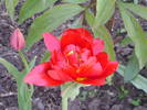DSC00504
