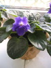 DSCF6077