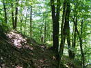DSCF4651