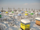 IMG_0037 (3)