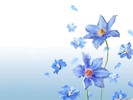 felicitare_15211