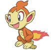 Chimchar alergand.