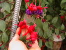 Picture 027