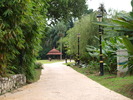 PC050232
