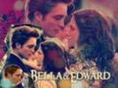 edward and bella