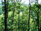 DSCF0576