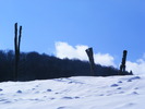 DSCF6977