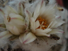 DSC09467