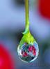 from_220_ro_13937