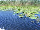 Picture 292