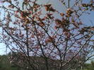 13012006(001)
