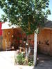DSC09218