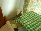 DSC00409