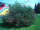 P1060016