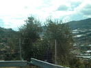 DSCN2501