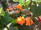 aug 2008 051