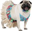 Hula_Pug