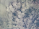 DSC00668
