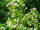 DSCF0533