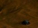 mummy_picture_059_i