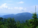 DSCF3031