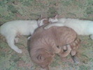 Imag043