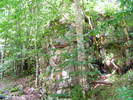 DSCF2508
