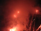 IMG_8337