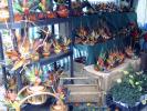 DSC00052