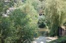 Resize of DSC_0261