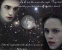 edward and bella
