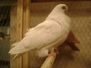 DSC08071