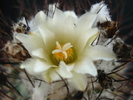 DSC00583