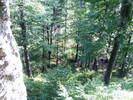 DSCF4503