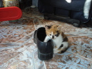 HAC..MI-AM PIERDUT ECHILIBRUL:))