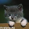 avatar_5