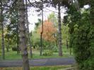 DSC00284