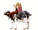 cow-belles-155743l-imagine