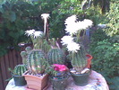 Imag089