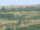 DSCF4140